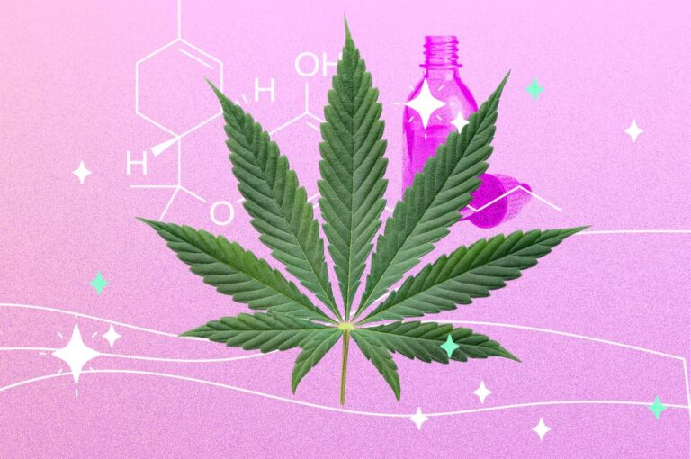 Cannabis, más allá de la marihuana. Un recorrido histórico