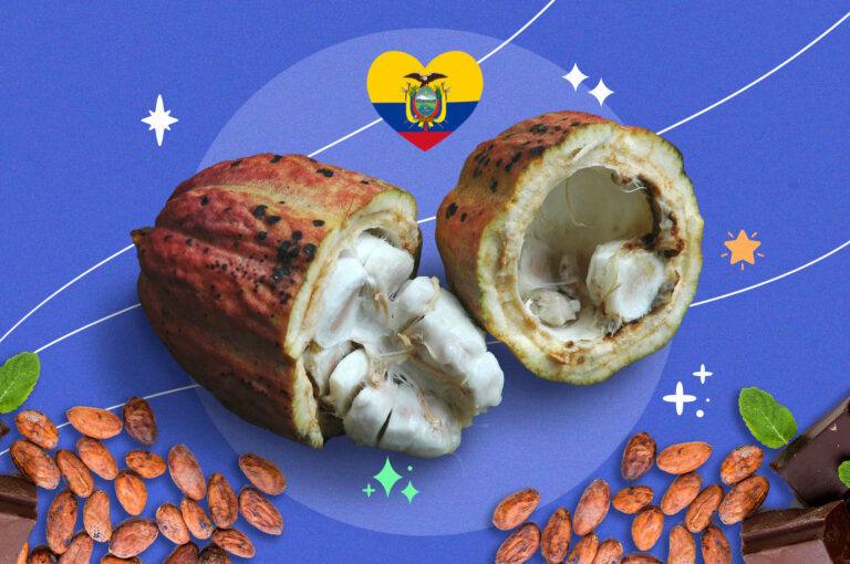 Amar el cacao en su equinoccial diversidad
