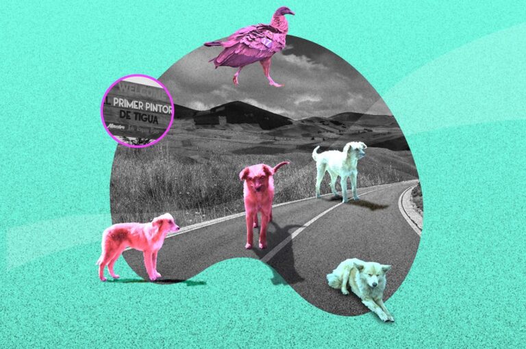 De Pujilí a Zumbahua: la soledad de los perros de páramo