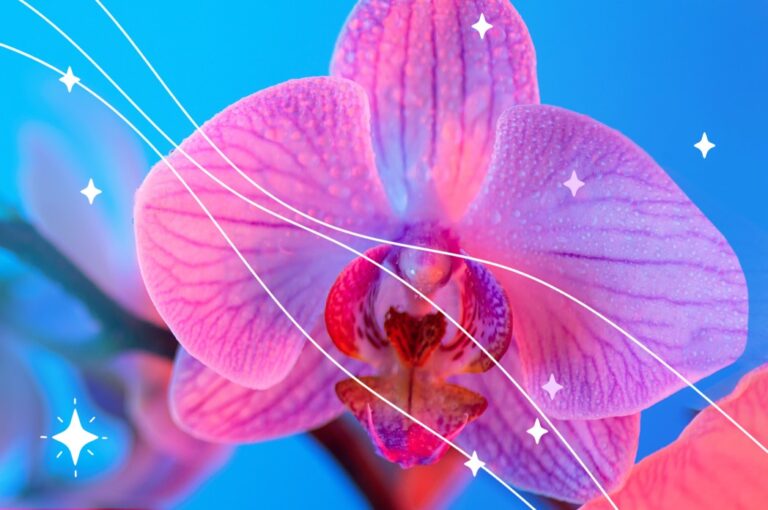 Mujer, vagina y orgasmo. Una trilogía natural y necesaria