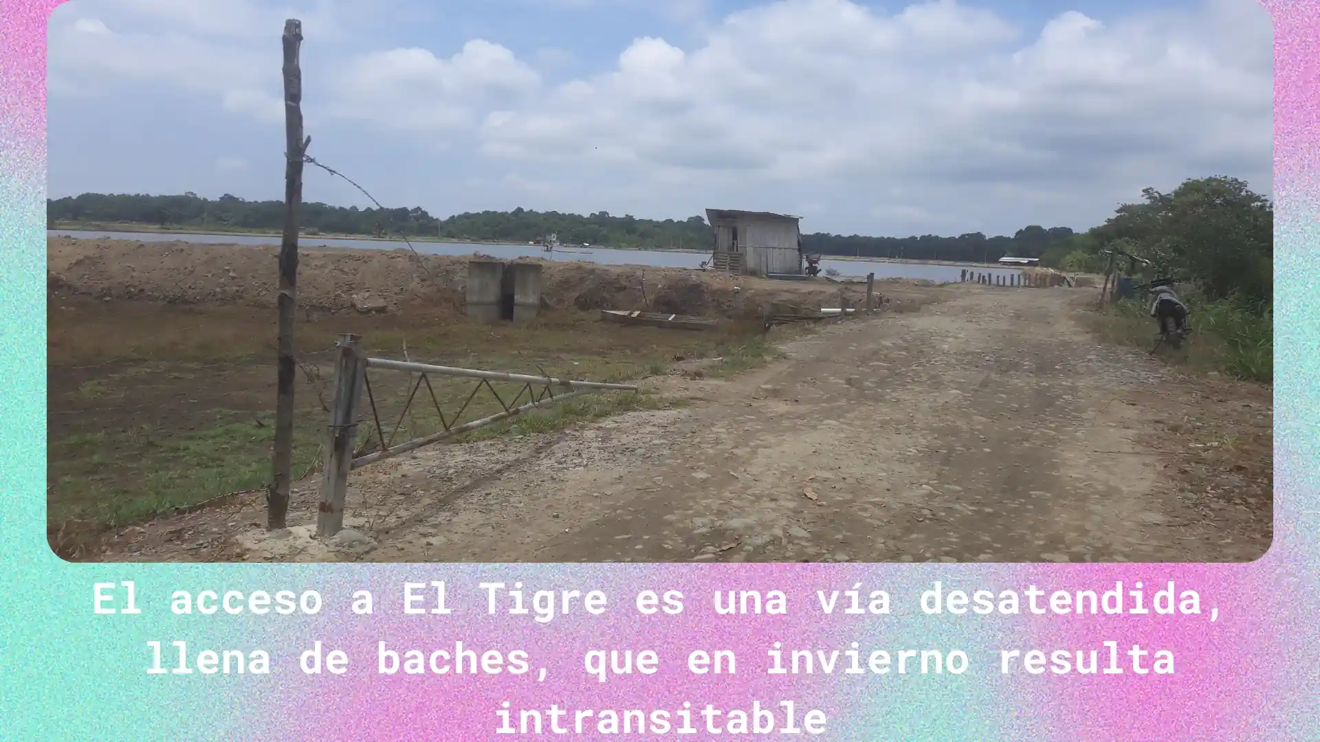 alt="cangrejos ecuador"