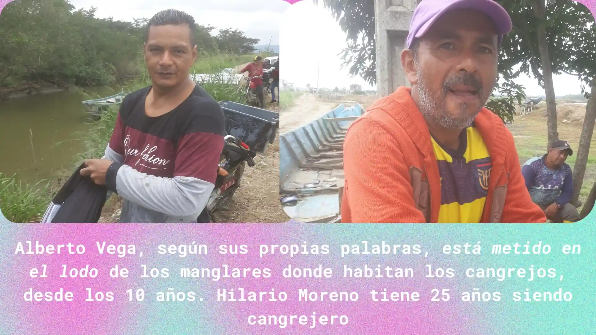 alt="manglares ecuador"