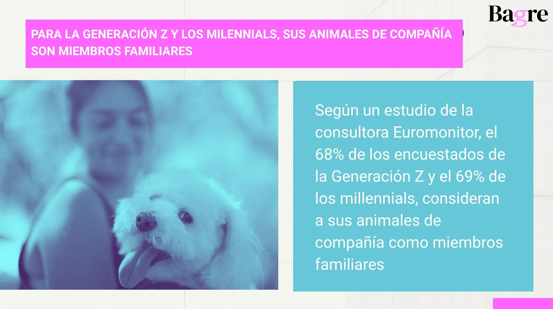 alt=cultura pet ecuador